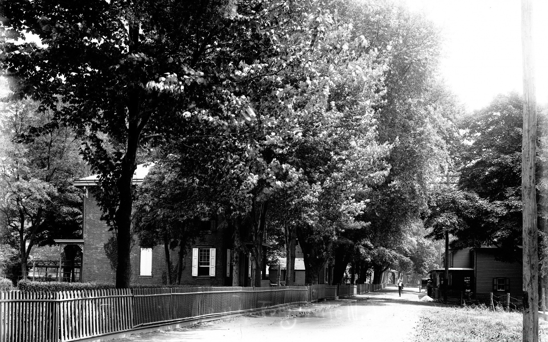 vintage drewno zima śnieg park na zewnątrz droga krajobraz pogoda sezon drewno natura