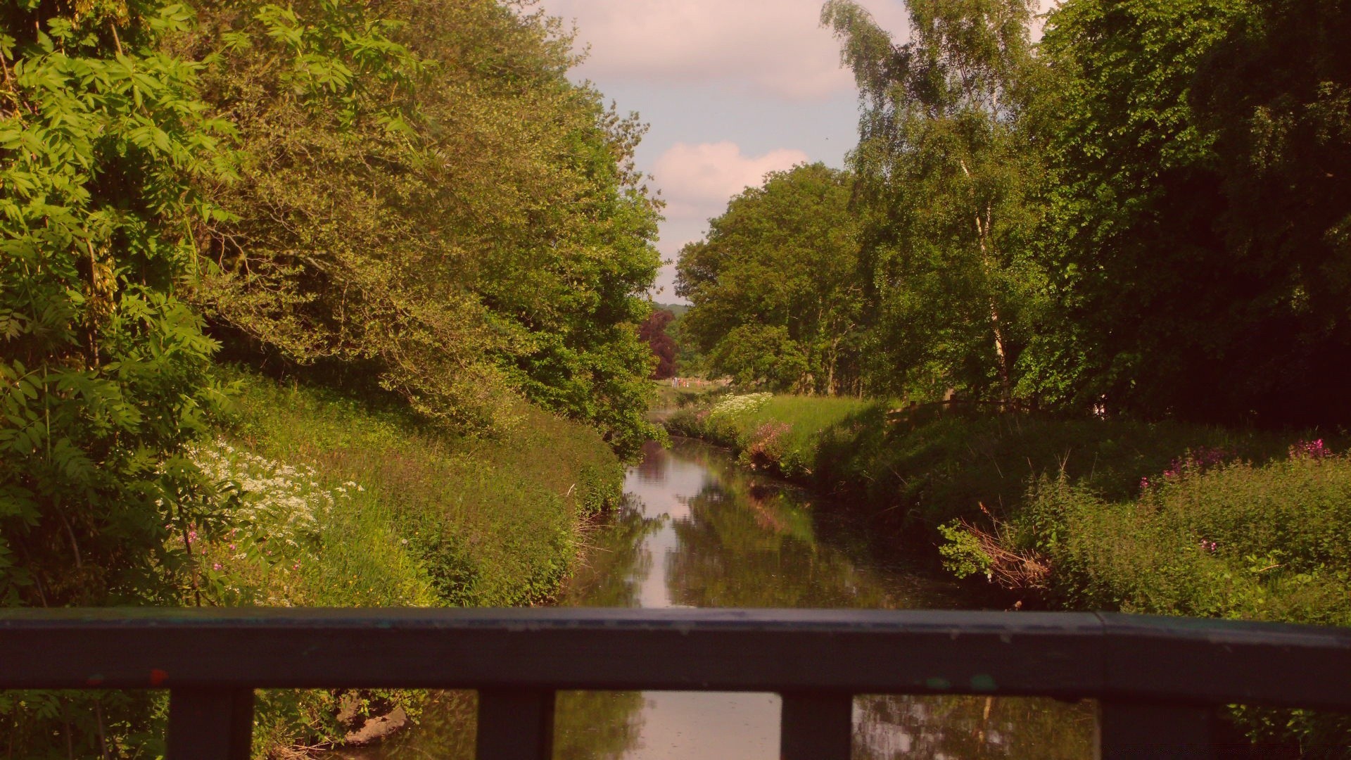 vintage tree wood landscape nature outdoors water park river leaf scenic environment travel fall road summer daylight grass season