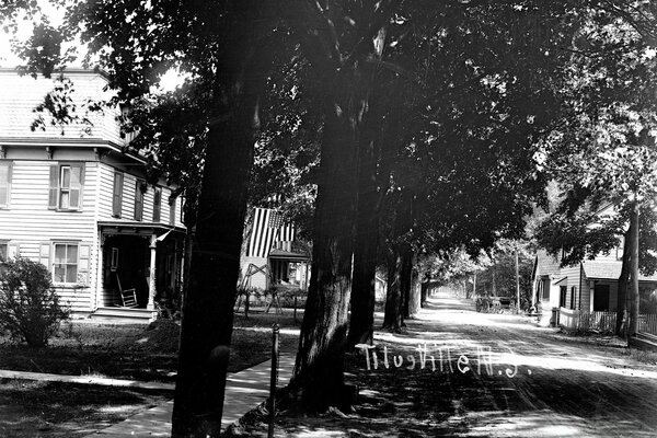 Calle con casas y árboles en monocromo