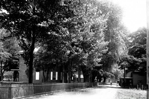 Parque de verano en blanco y negro