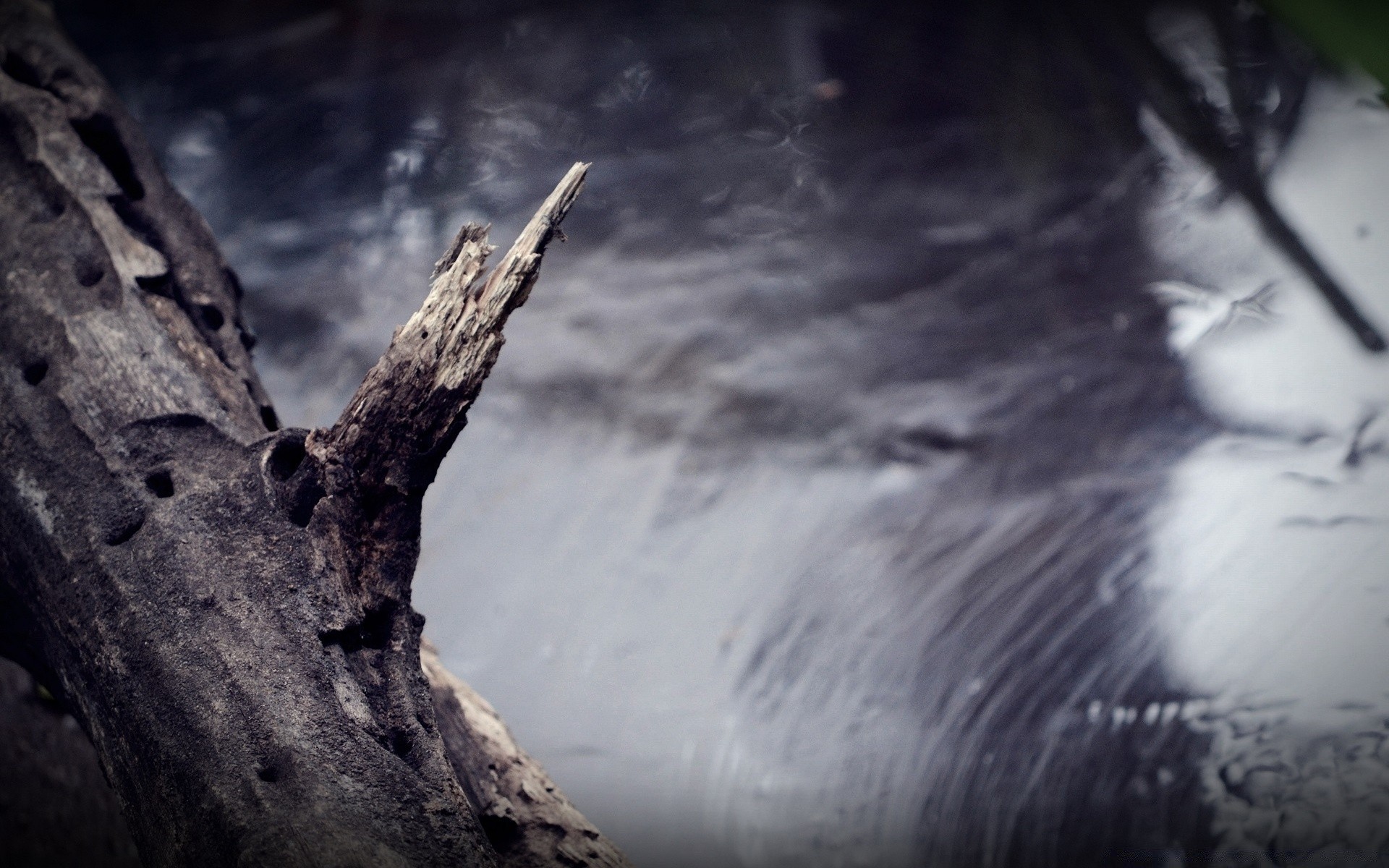 vintage acqua luna natura paesaggio inverno all aperto in bianco e nero neve cielo albero luce viaggi