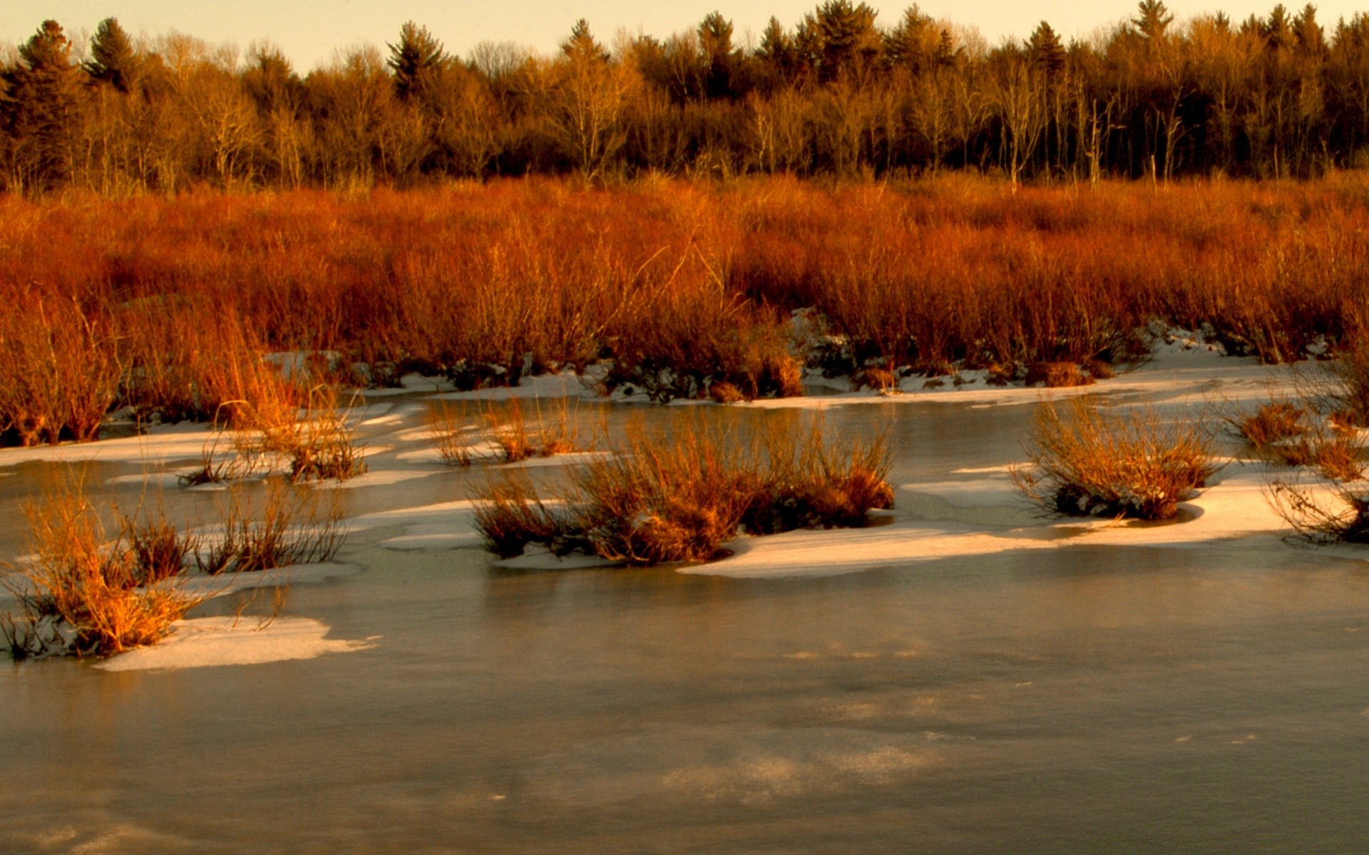 vintage winter water landscape tree snow fall nature wood river outdoors cold reflection sunset dawn evening lake park weather scenic