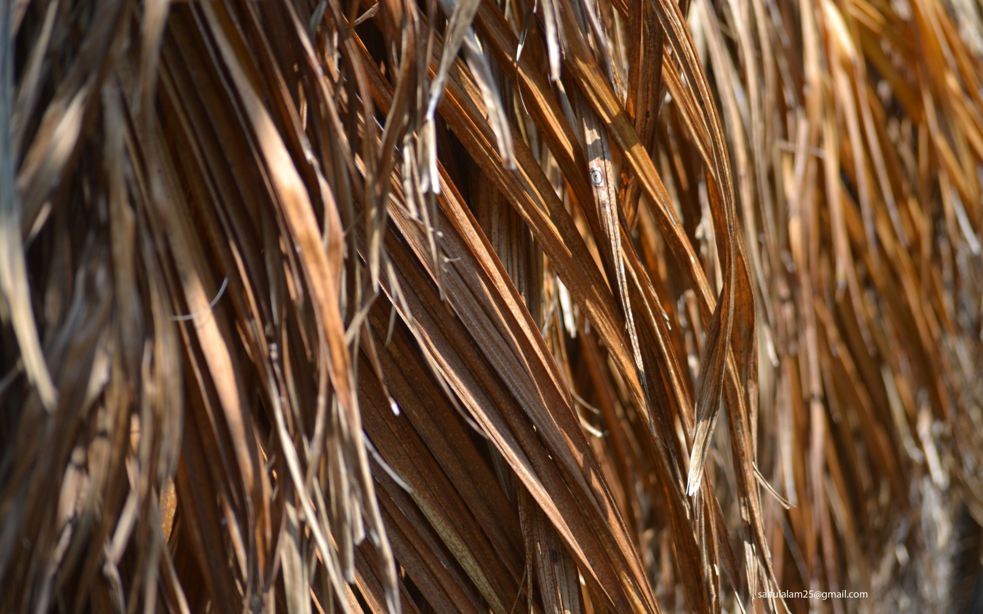 jahrgang natur stroh textur desktop kit abstrakt reed schließen essen im freien muster trocken