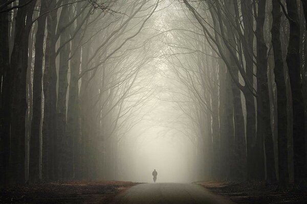 Hombre en la noche en el bosque