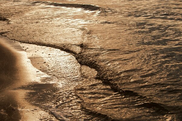 Calm sea waves and shore