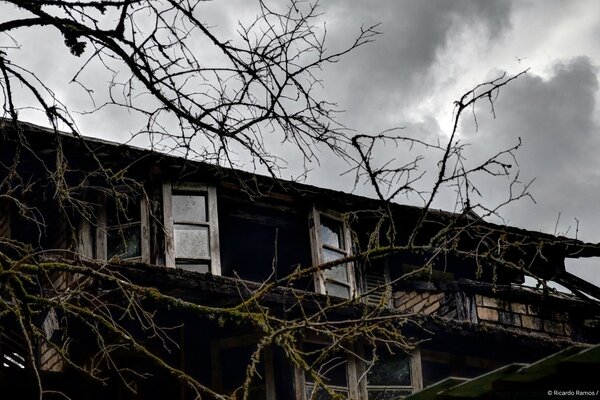 Vieille maison et arbre sans feuilles