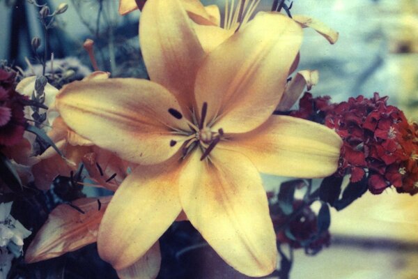 Bouquet with Lily in vintage style