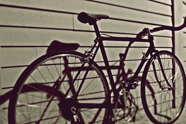 An old bicycle against a gray wall