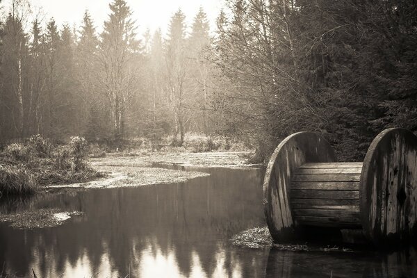 Ein Sumpf im Wald. Vintage Foto