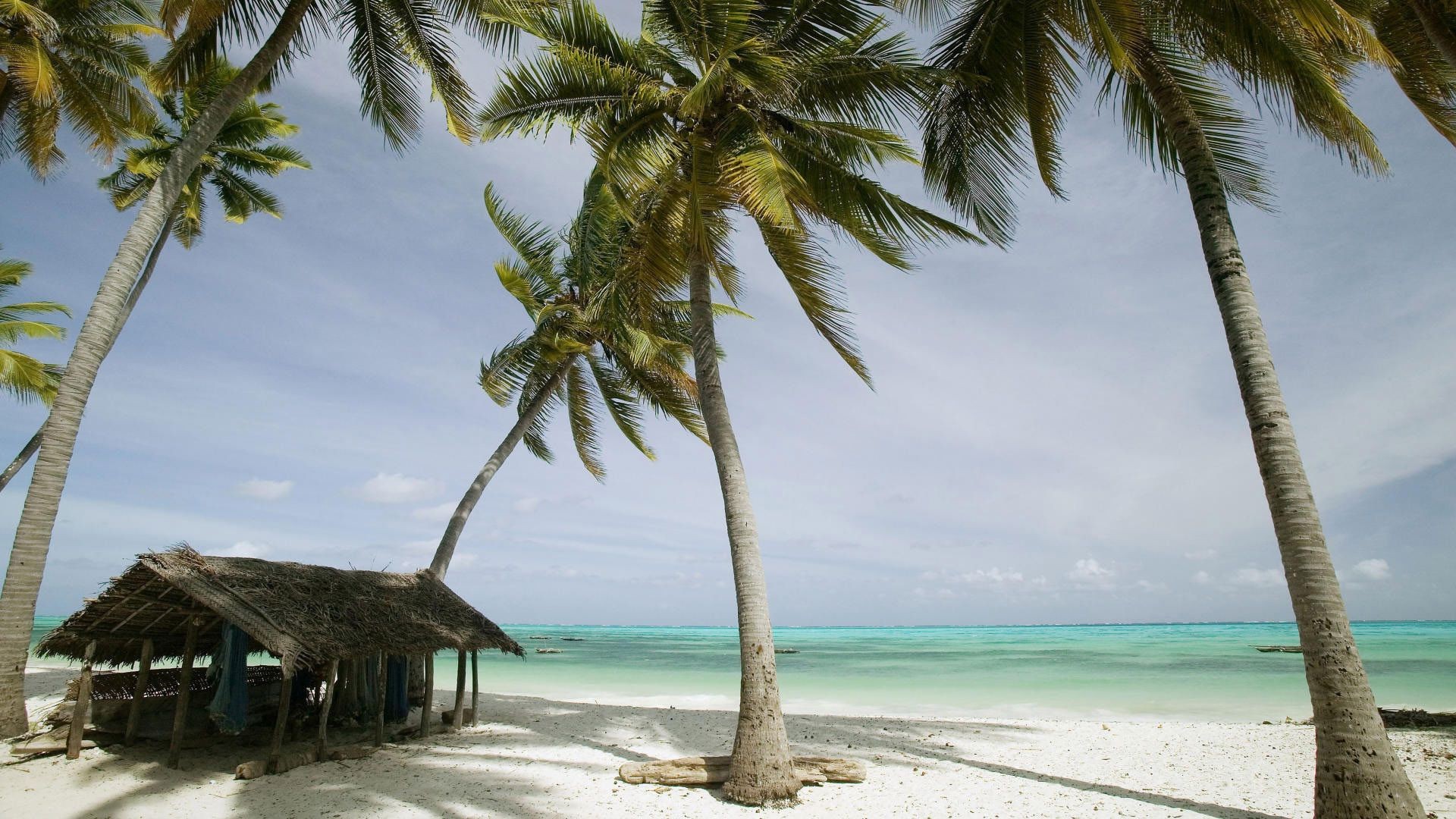 palmen und tropen sand tropisch strand ozean meer idylle insel türkis exotisch urlaub reisen palmen sommer resort paradies entspannung wasser sonne landschaft kokosnuss