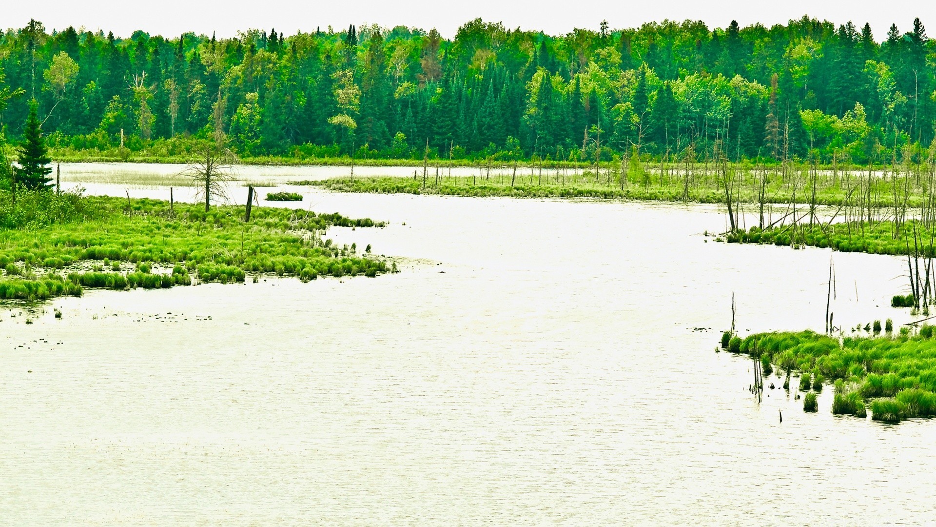 vintage water landscape river tree lake reflection nature pool outdoors agriculture scenic wood environment flora field travel farm