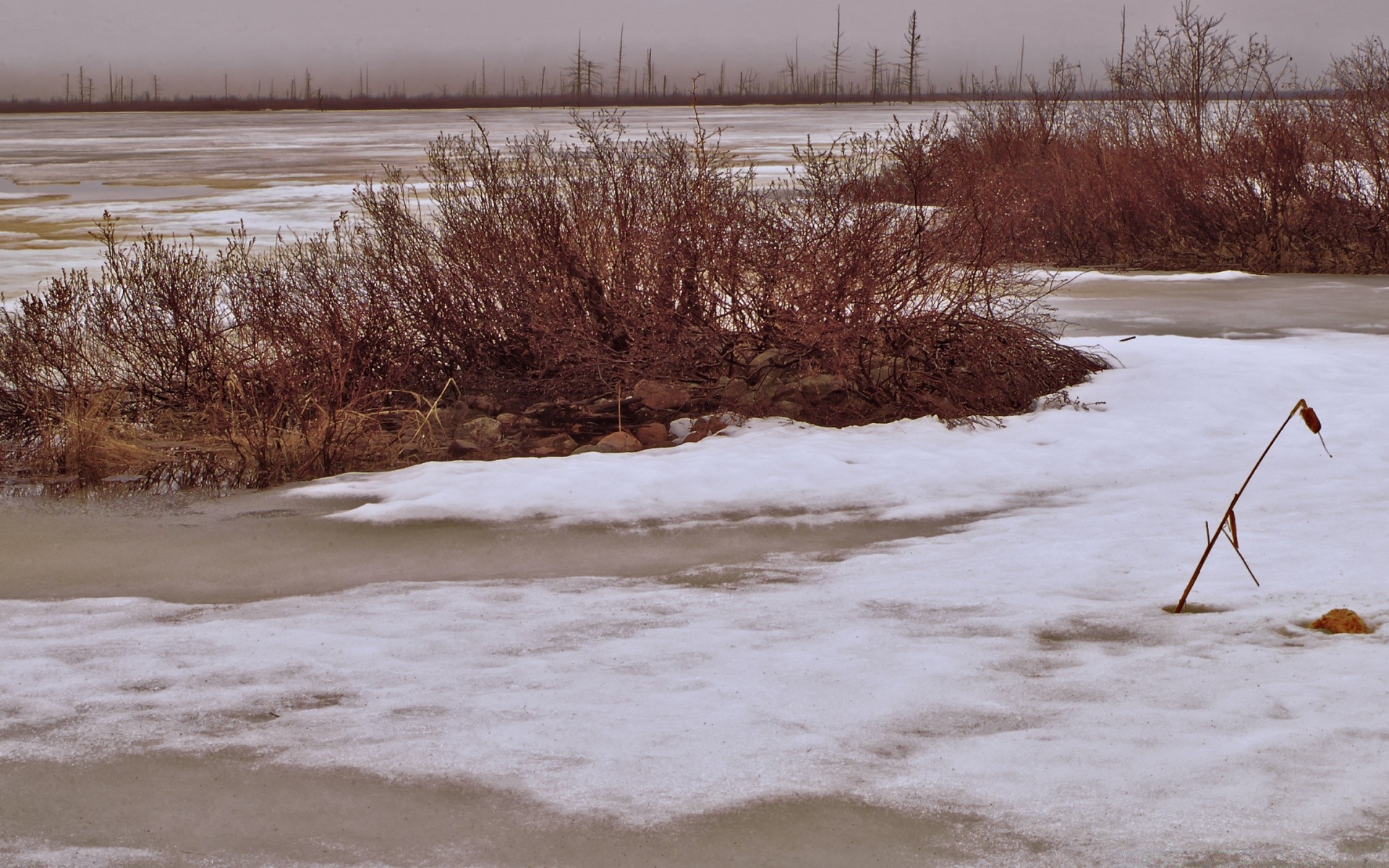 vintage inverno neve acqua paesaggio freddo ghiaccio congelato lago albero natura tempo gelo fiume all aperto legno ambiente riflessione cielo