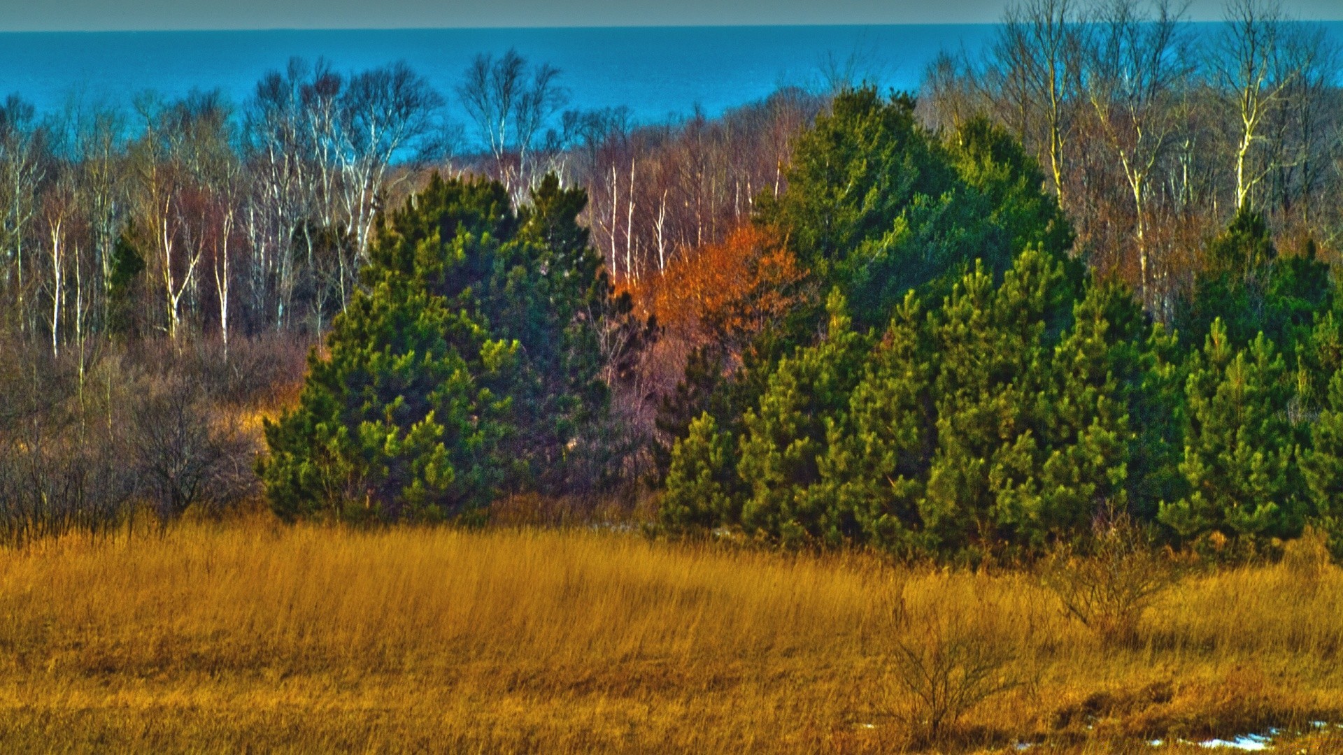 vintage paysage arbre nature bois ciel scénique à l extérieur aube coucher de soleil automne voyage soirée lumière colline spectacle champ belle herbe foin