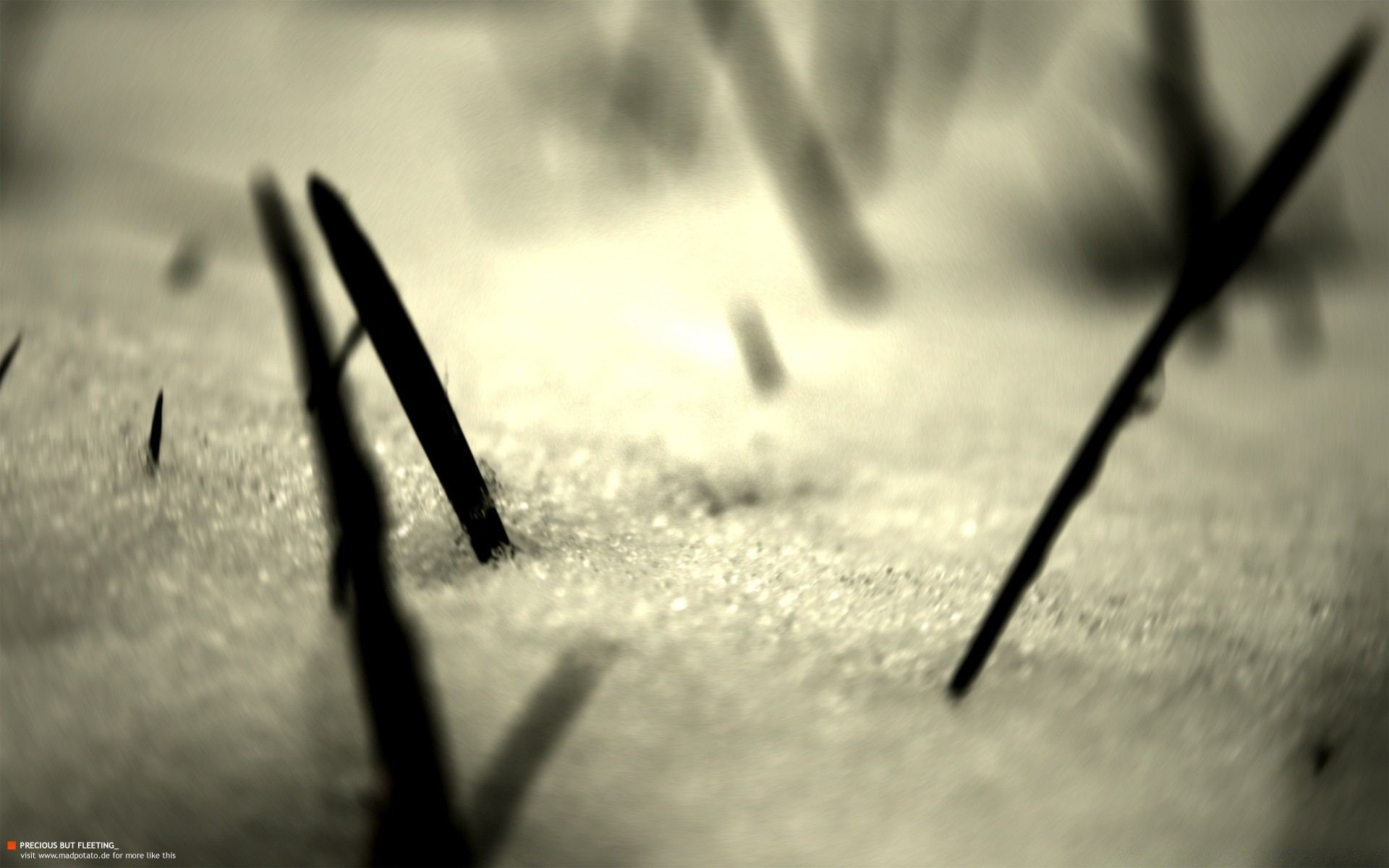 vintage blur monochrome still life snow shadow winter dof weather outdoors landscape focus one nature light black and white wood