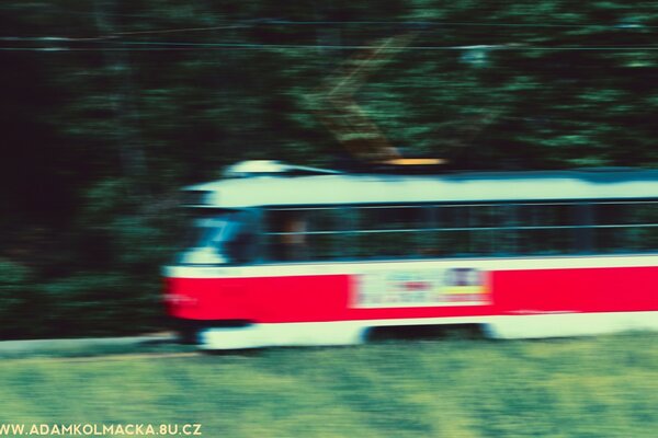 A blurred train on a background of greenery