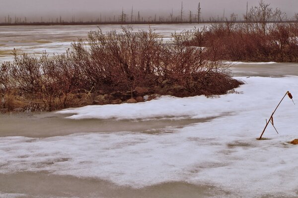 Winterlandschaften am gefrorenen Teich