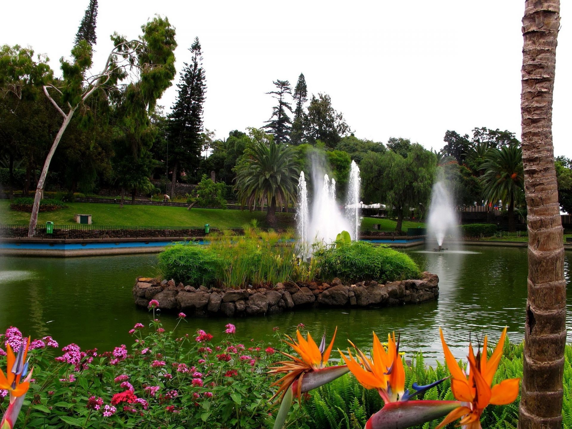 parques agua naturaleza verano jardín árbol al aire libre parque piscina río flor lago viajes flora hoja madera hierba