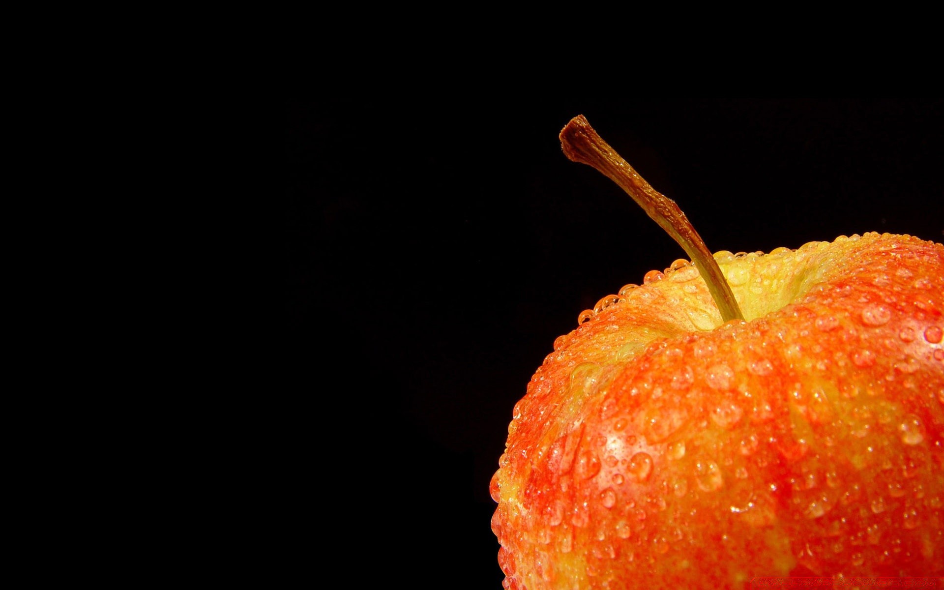 schwarz essen obst wachsen lecker gesundheit