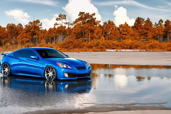 Sports car on the background of the forest