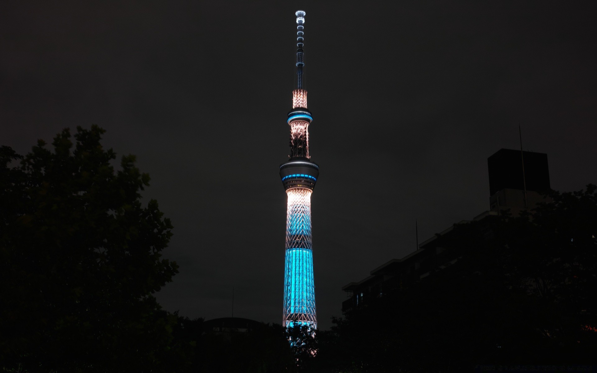 黑色 塔 建筑 城市 旅游 天空 摩天大楼 房子 高 户外 天际线 市中心 城市 城市 光 晚上 地标