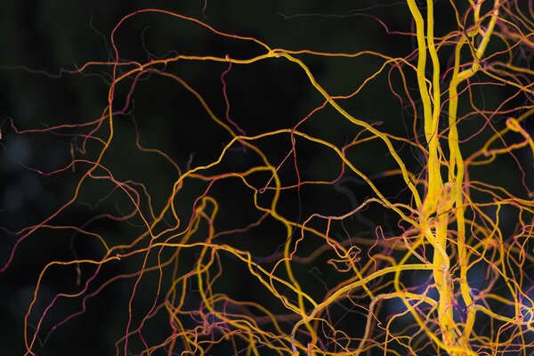 Yellow neural networks on a black background