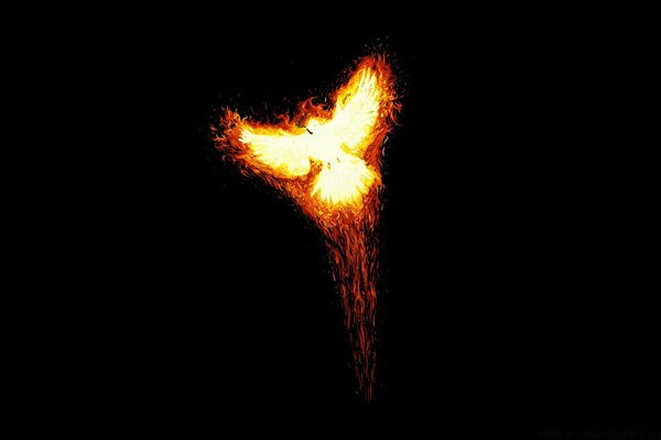 Oiseau de feu Phoenix sur fond noir