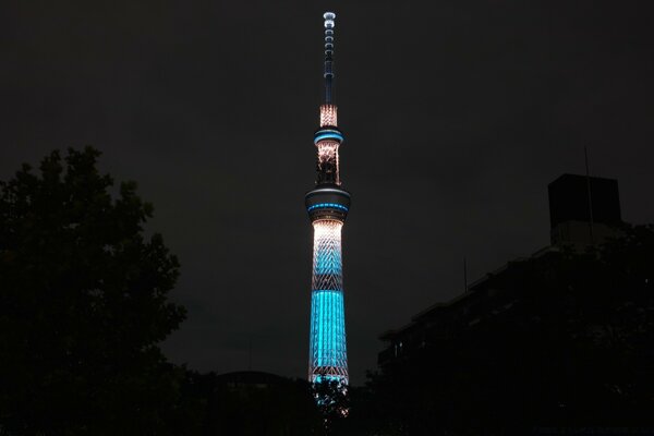 Architecture of the tower at night