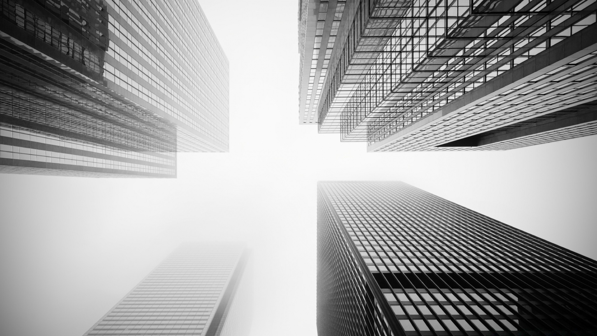 preto e branco moderno arquitetura escritório moderno o negócio janelas perspectiva vidro futurista aço monocromático casa dentro de casa expressão