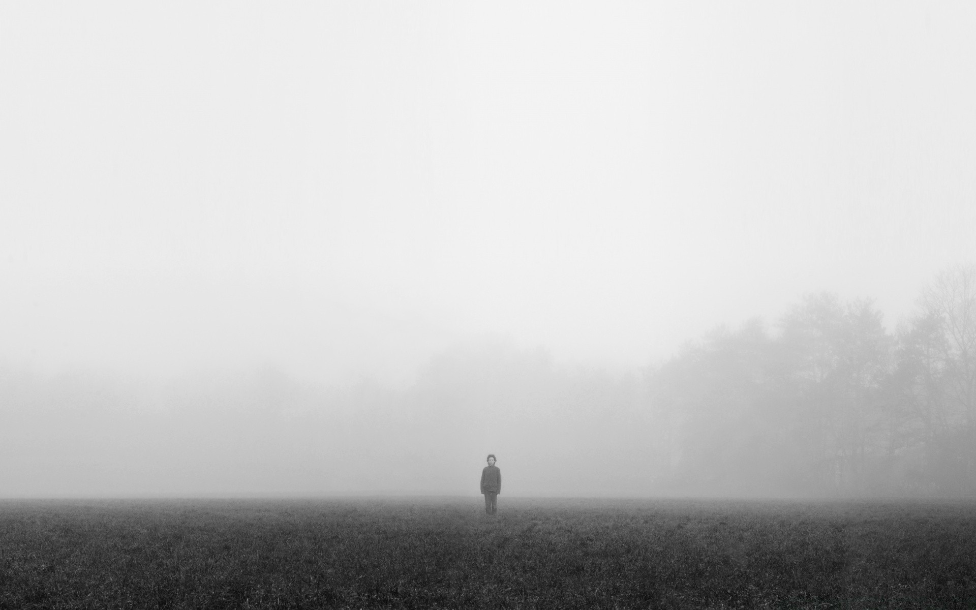 blanco y negro niebla monocromo paisaje niebla pájaro amanecer tierras cultivadas