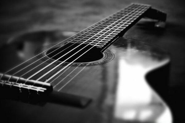 Black and white guitar photo