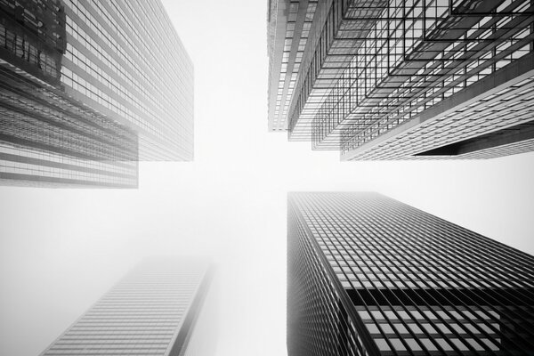 Immagine di grattacieli in bianco e nero