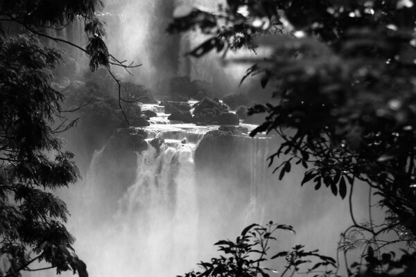 View of the mountain stream through the black branches