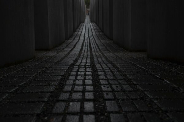 Unebener Weg in die Ferne