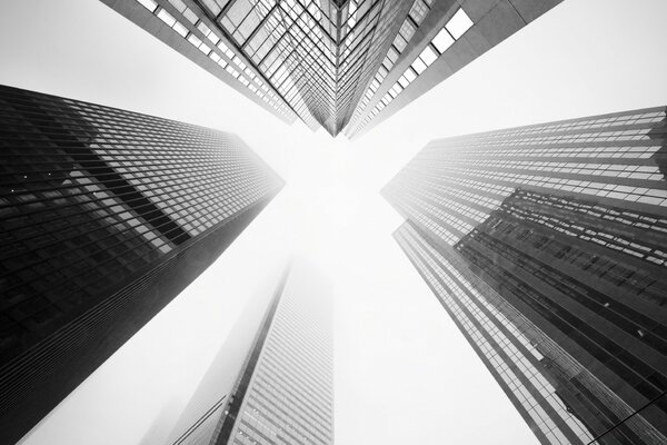 Image des immeubles de grande hauteur en noir et blanc