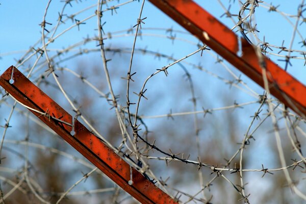 Barbed wire. Winter sky