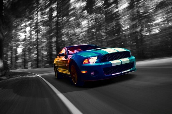 A colored car rushes through a gray forest