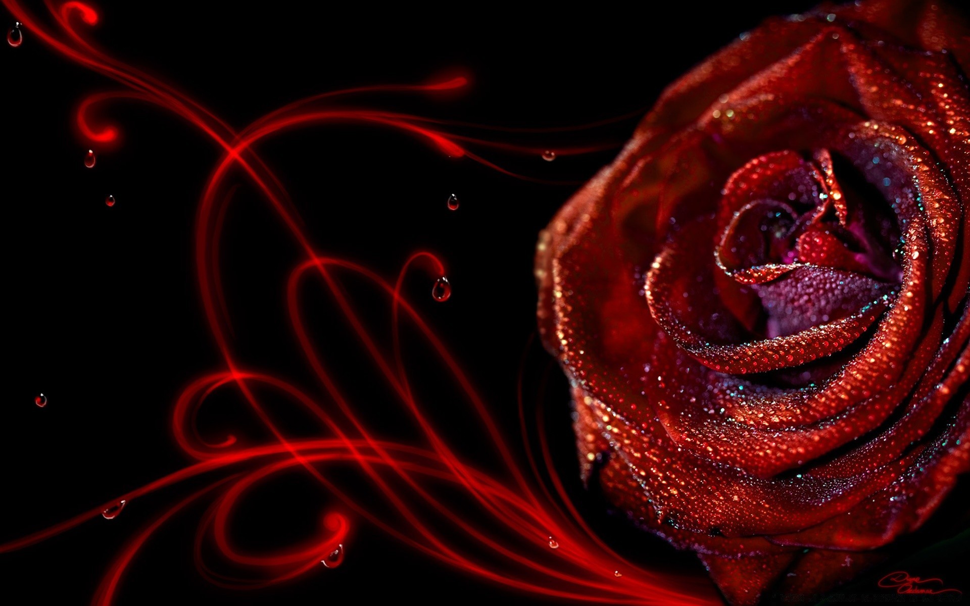 black rose science desktop romance