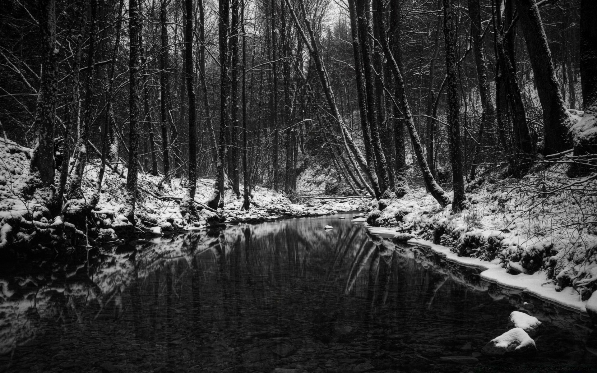 noir bois bois rivière eau paysage nature monochrome