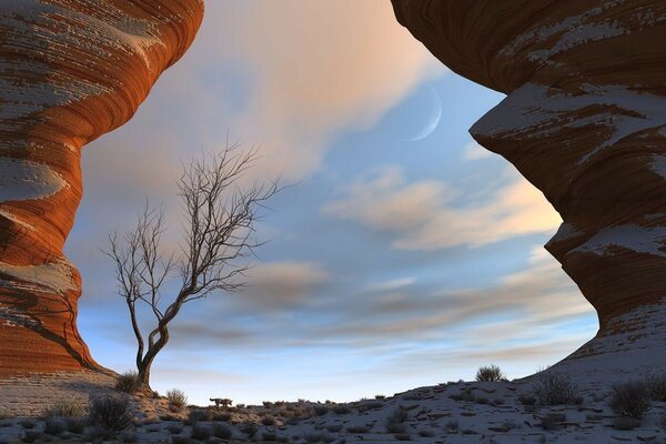 Desert landscape at sunset