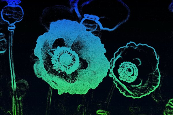 Glowing flowers on a black background