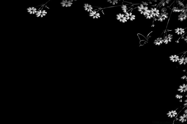 Fondo negro con flores blancas para el Escritorio