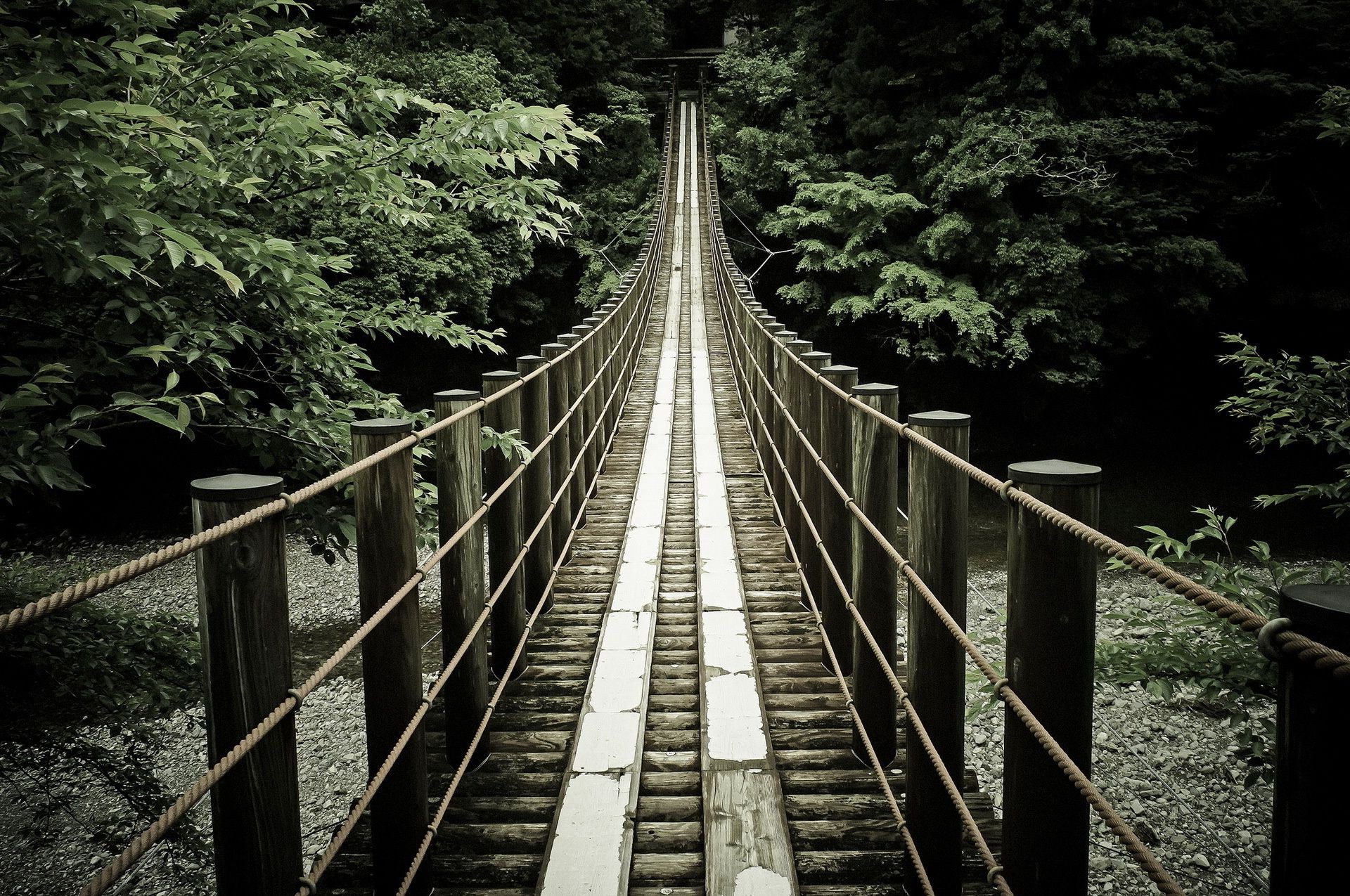 bridges wood bridge tree nature outdoors travel guidance park road leaf train landscape light