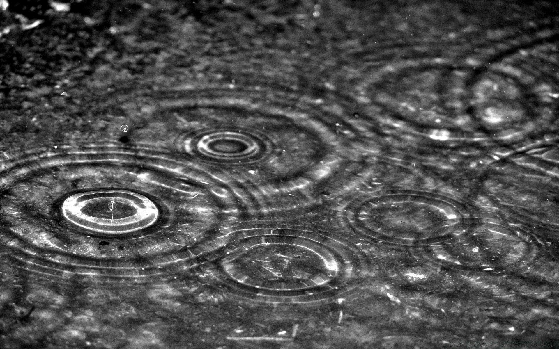 preto desktop molhado redondo gota superfície líquido abstrato chuva respingo água bolha limpar natureza textura padrão