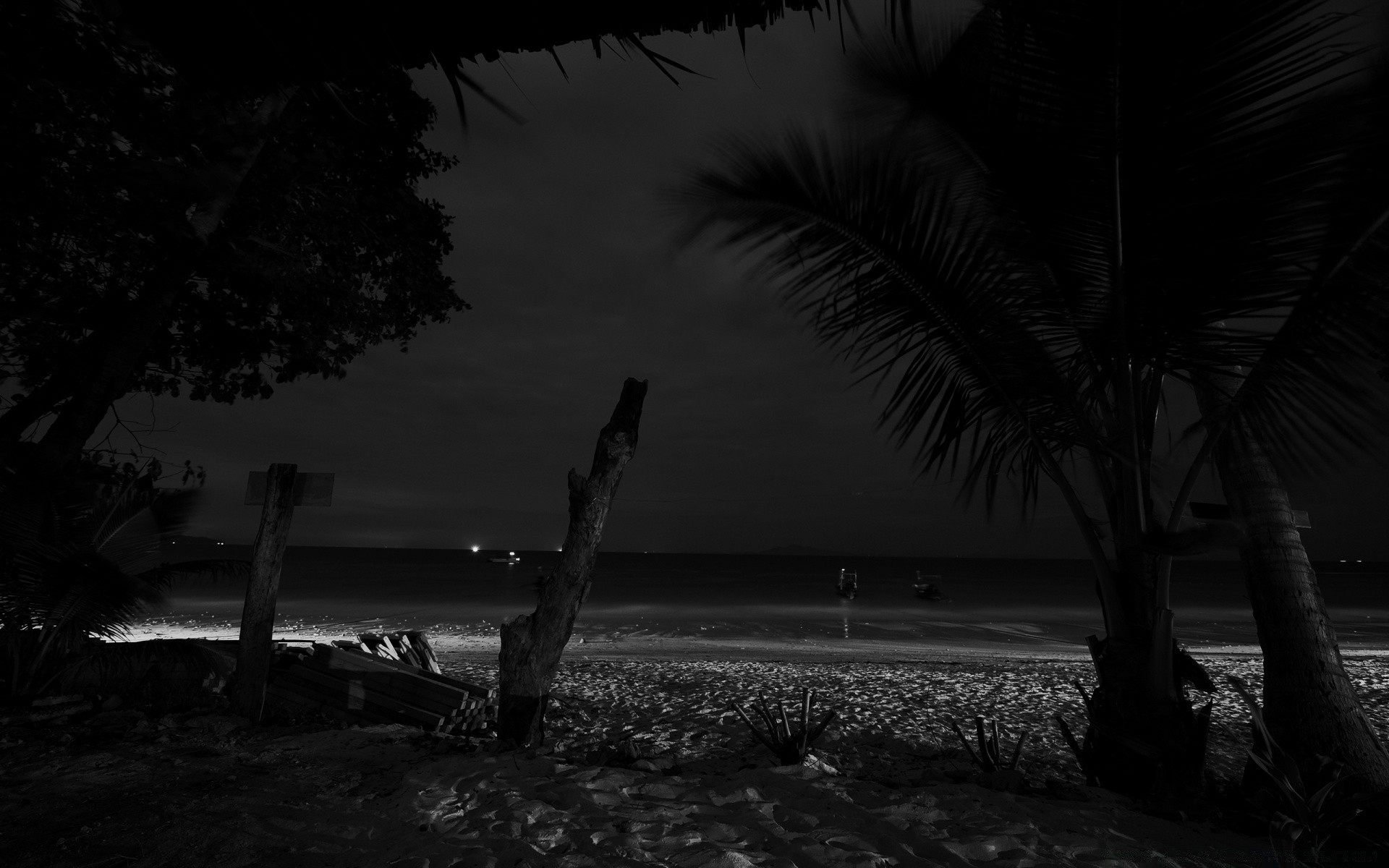 negro playa monocromo agua puesta de sol océano silueta mar amanecer sombra árbol noche luz de fondo mar sol paisaje paisaje