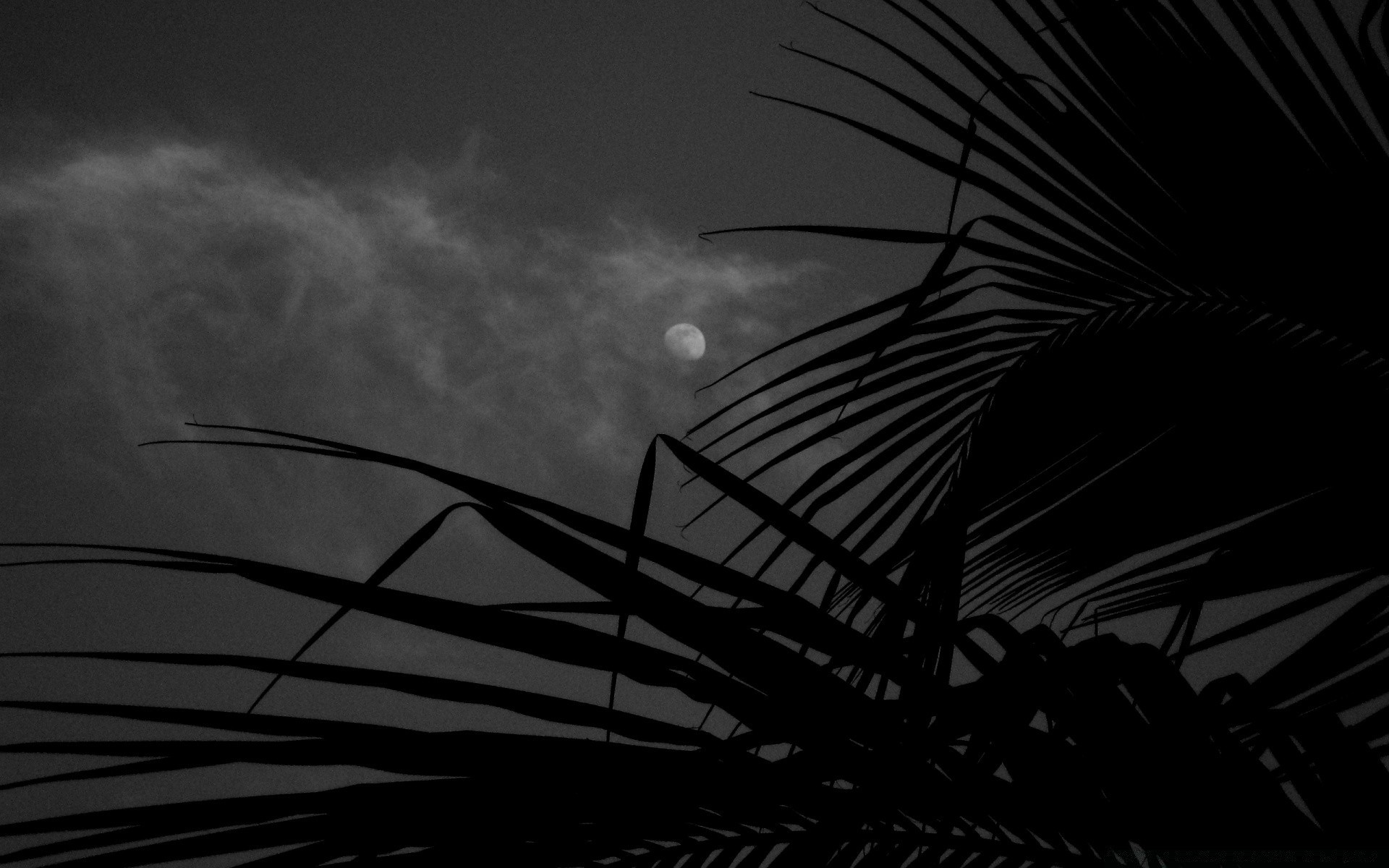 negro monocromo silueta puesta de sol cielo ciudad iluminado playa sol noche amanecer paisaje luz