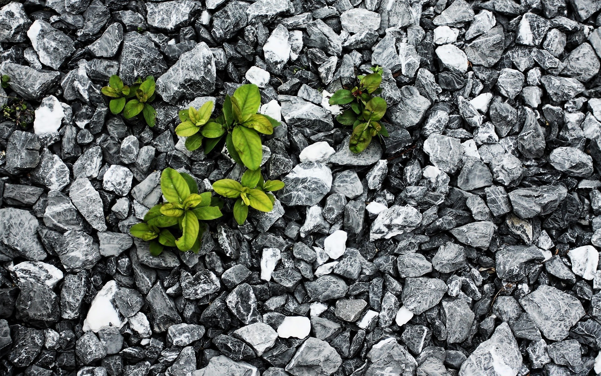 black stone rock rough pattern texture fabric surface gravel desktop granite abstract cobblestone dirty expression concrete wall ground dust pavement floor