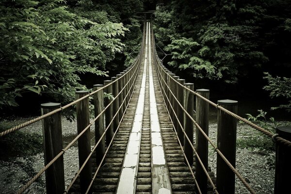 Puente de madera en la vida