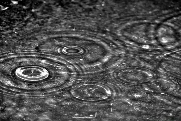 Giorno piovoso in bianco e nero