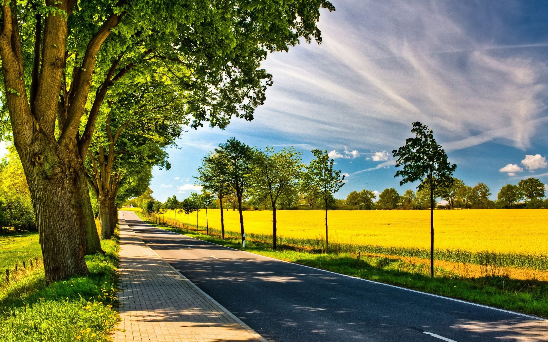 route paysage rural arbre nature campagne herbe guide extérieur feuille été beau temps bois soleil perspective lumineux scénique pays