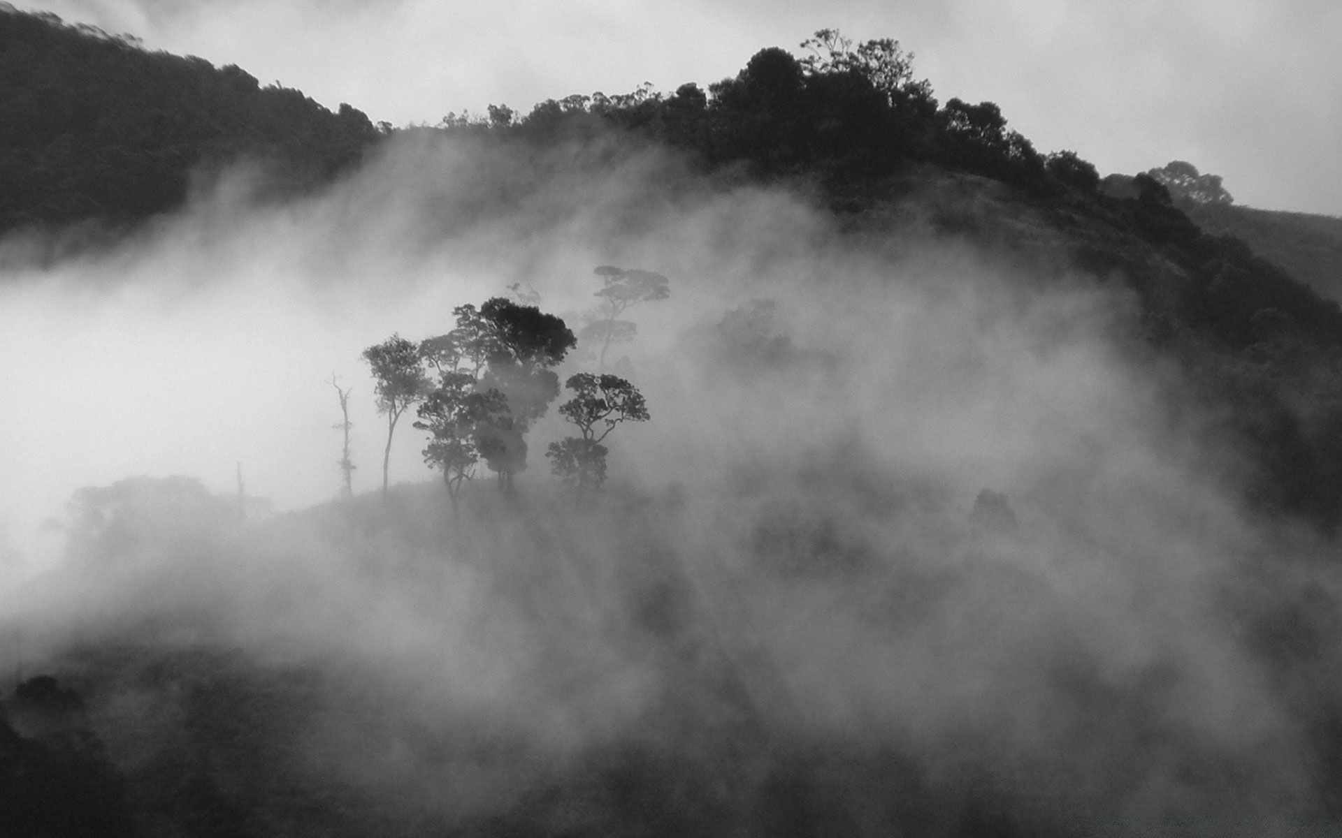 black landscape fog storm monochrome mist sky weather mountain tree rain smoke cloud calamity silhouette light sunset dawn beach nature